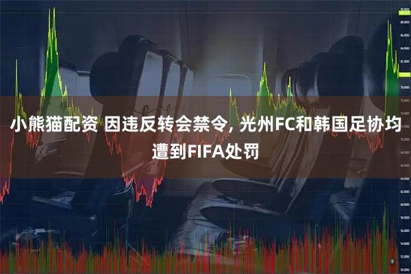 小熊猫配资 因违反转会禁令, 光州FC和韩国足协均遭到FIFA处罚