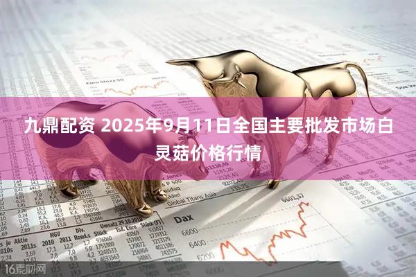 九鼎配资 2025年9月11日全国主要批发市场白灵菇价格行情