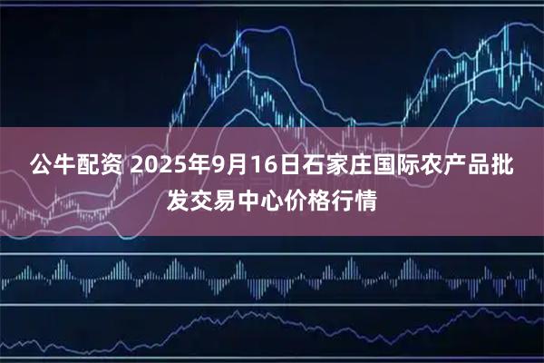 公牛配资 2025年9月16日石家庄国际农产品批发交易中心价格行情