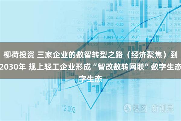 柳荷投资 三家企业的数智转型之路（经济聚焦）到2030年 规上轻工企业形成“智改数转网联”数字生态
