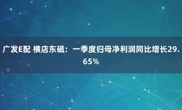 广发E配 横店东磁：一季度归母净利润同比增长29.65%