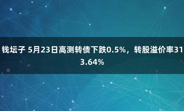 钱坛子 5月23日高测转债下跌0.5%，转股溢价率313.64%