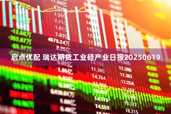 启点优配 瑞达期货工业硅产业日报20250619