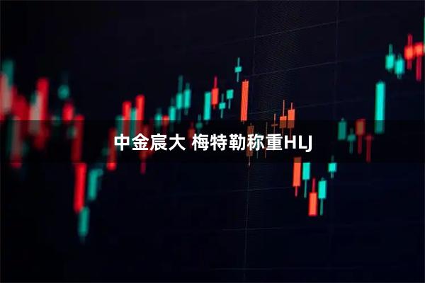 中金宸大 梅特勒称重HLJ
